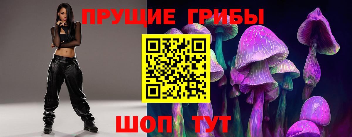 Великие Луки  Псилоцибиновые грибы Psilocybe  Псилоцибиновые грибы Psilocybe  Вход с VPN 